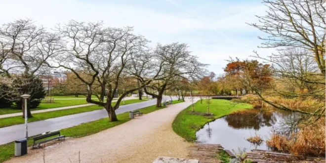 Suffolk Park: 5 Amazing Attractions You Must Visit!